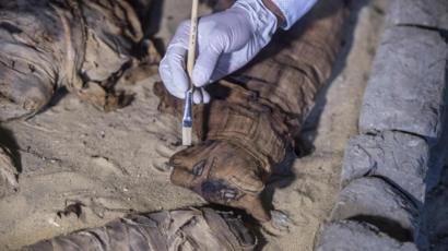 Mummified cats and Scarabs New discovery in Egypt , Egyptravel4you Info